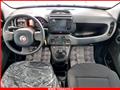 FIAT Panda 1.0 FireFly S&S Hybrid MY24 KM ZERO!!! IVATA NEOPATENTATI