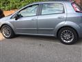 FIAT PUNTO 1.3 Mjt 95 CV DPF 5 porte S&S Dualogic Dynamic