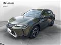 LEXUS UX Hybrid Executive