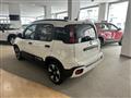 FIAT PANDA 1.0 FireFly S&S Hybrid Pandina