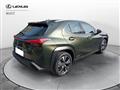 LEXUS UX Hybrid Executive