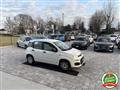 FIAT PANDA 1.2 Easy ANCHE PER NEOPATENTATI