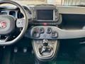 FIAT PANDA CROSS 1.0 FireFly S&S Hybrid cross * PROMO FINANZIAMENTO