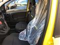 FIAT PANDA 1.0 FireFly S&S Hybrid Pandina