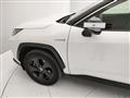 TOYOTA RAV4 2.5 vvt-ie h Style awd-i 222cv e-cvt