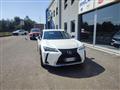 LEXUS UX Hybrid Executive