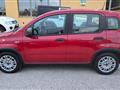 FIAT PANDA 1.0 HYBRID S&S 70 CV SENSORI PARK RADIO TOUCH BT