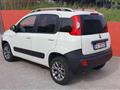 FIAT PANDA 1.3 Multijet 4x4 VAN 2 POSTI