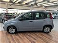 FIAT PANDA 1.0 FireFly S&S Hybrid Easy - 5 POSTI, NEOPAT