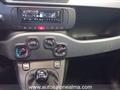 FIAT PANDA 1.0 FireFly S&S Hybrid Pandina