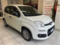 FIAT PANDA VAN 1.3 MJT S&S Easy Van 4 posti +IVA