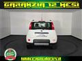 FIAT Panda 0.9 t.air t. 4x4 s&s 85cv