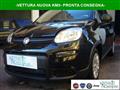 FIAT PANDA 1.0 FireFly S&S Hybrid Pandina Urban Km 0