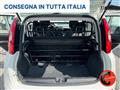 FIAT PANDA VAN FURGONE+IVA 1.2 EASY VAN N1 4 POSTI POCHI KM-E6D-