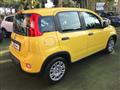 FIAT PANDA 1.0 FireFly S&S Hybrid Pandina