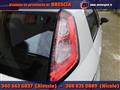 FIAT PUNTO 1.2 8V 5 porte Easy