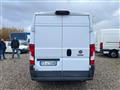 FIAT Ducato 35 MH2 2.3 mjt 130cv F.L. Ducato 35 2.3 MJT 130CV PLM-TM Furgone Vetrato Maxi