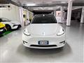 TESLA MODEL Y Long Range AWD Dual Motor ? 459 + iva