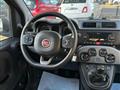 FIAT PANDA CROSS 1.0 HYBRID GSE CITYLIFE 70cv