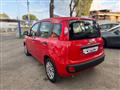 FIAT PANDA 1.0 FireFly S&S Hybrid *IVA ESPOSTA* NEOPATENTATI