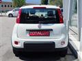 FIAT PANDA 1.0 FireFly S&S Hybrid City Life OK NEO PATENTATI