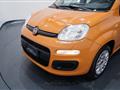 FIAT PANDA 1.2 69cv GPL EasyPower Easy