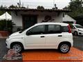 FIAT PANDA 1.2 Easy UNIPROPRIETARIO! PREZZO PROMO!