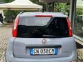 FIAT PANDA 1.0 FireFly S&S Hybrid City Life - OK NEOPATENTATI