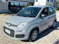 FIAT PANDA 1.3 MJT 95 CV S&S Easy