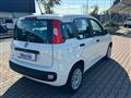 FIAT PANDA 1.2  S.&S. E6D-TEMP EASY 5 POSTI GUIDABILE NEOPA