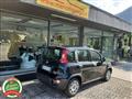 FIAT PANDA 1.0 FireFly S&S Hybrid Ok NEOPATENTATI