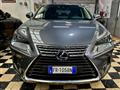 LEXUS NX Hybrid 4WD Executive