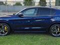 ALFA ROMEO STELVIO 2.2 Turbodiesel 210 CV AT8 Q4 Veloce