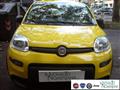 FIAT PANDA 1.0 FireFly S&S Hybrid Pandina Urban Km 0