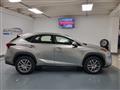 LEXUS NX Hybrid 4WD Business