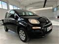 FIAT PANDA 1.2 Lounge 69CV Neopatentati Ok