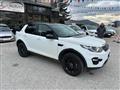 LAND ROVER DISCOVERY SPORT 2.0 TD4 180 CV Auto Business Ed. Premium SE