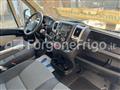 FIAT DUCATO Fiat Ducato Coibentato Isotermico Frigorifero