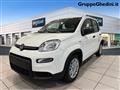 FIAT PANDA 1.0 FireFly S&S Hybrid Pandina