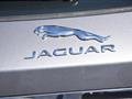 JAGUAR XF Sportbrake JAGUAR XF Sportbrake 20d 4X4 AWD 180CV PRESTIGE - AUTOMATICA