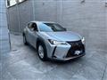 LEXUS UX Hybrid Business