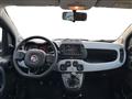 FIAT PANDA III 2021 Cross 1.0 firefly hybrid City Cross s&s 70cv