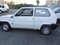 FIAT Panda 1100 i.e. Young