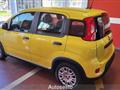 FIAT PANDA 1.0 FireFly S&S Hybrid Pandina