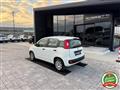 FIAT PANDA 1.2 Easy ANCHE PER NEOPATENTATI