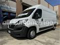 FIAT DUCATO Coibentato Isotermico Frigorifero