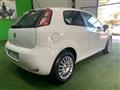 FIAT PUNTO 1.4 8V 3 porte Easypower Young