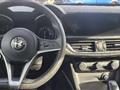 ALFA ROMEO STELVIO 2.2 Turbodiesel 180 CV AT8 Q4 Business