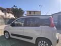 FIAT PANDA 1.3 MJT 95 CV S&S Easy