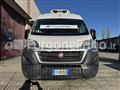 FIAT DUCATO Fiat Ducato Coibentato Isotermico Frigorifero